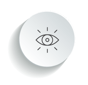 vision icon